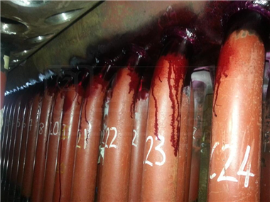 Competent on NDT and noise mapping survey